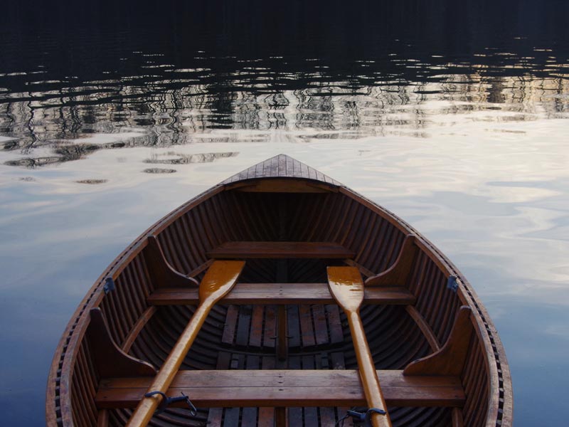 Activity Boat Trips