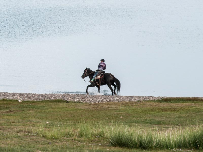 Activity Horse Riding